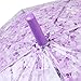 XUANLAN Transparent Cherry Blossom Bubble Dome Umbrella, Romantic Clear Semi-automatic POE Stick Umbrella for Rain and Wind (Purple Cherry)
