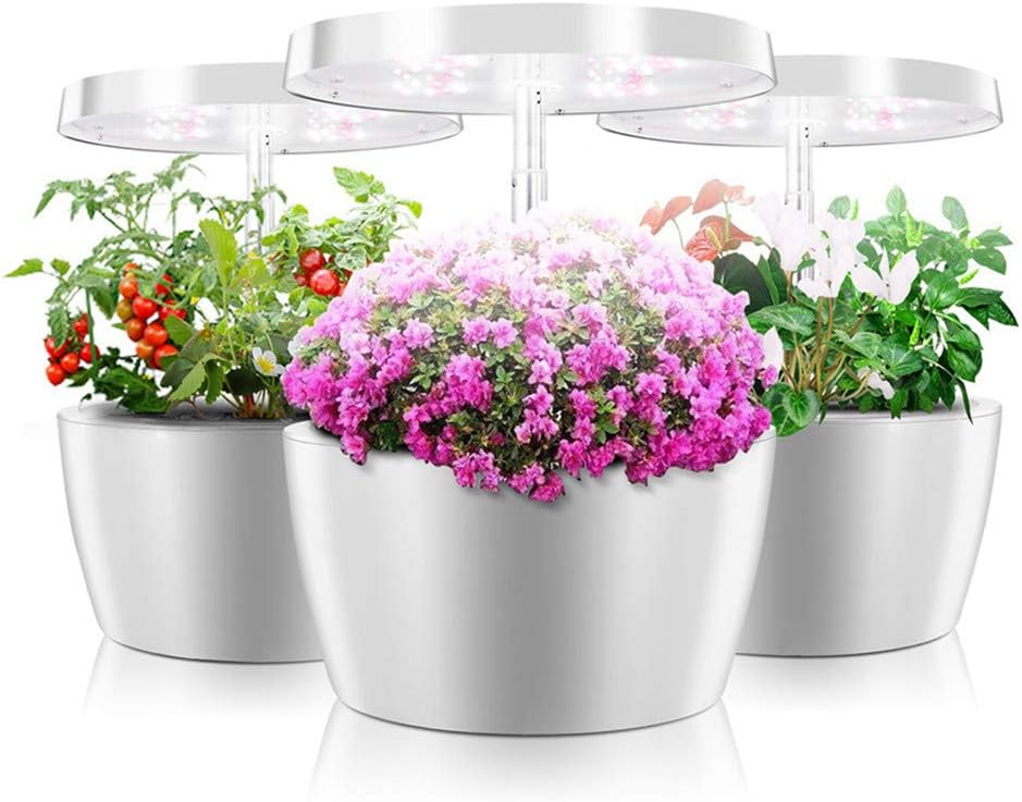 CRZJ Smart Garden, Kit de Sistema de Cultivo de hidroponía de Interior Kit de Hierba de Interior