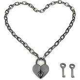 Succuba Padlock Necklace Chain Collar Choker with Two Keys and Box for Women, Men and Pet