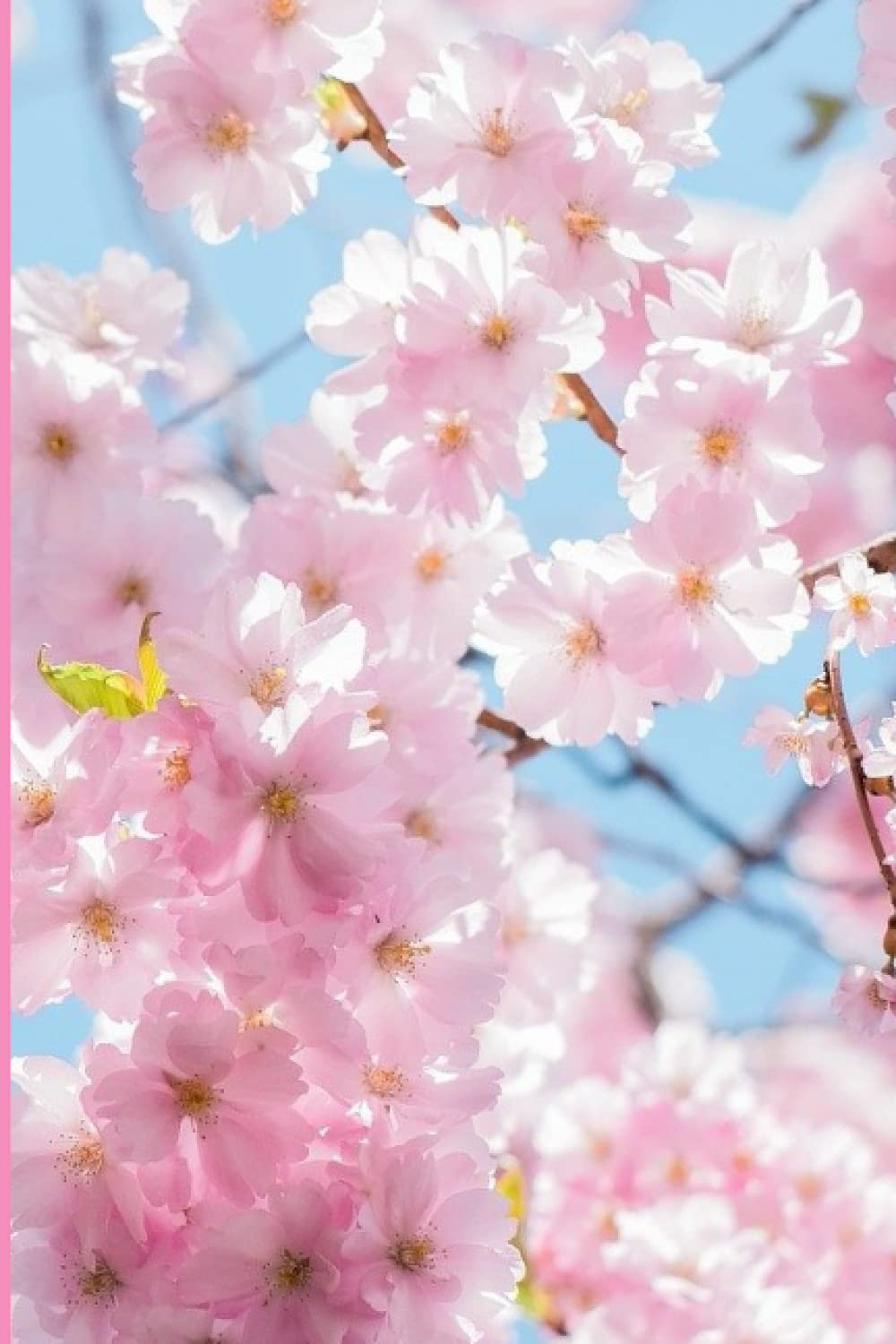 Cherry Blossom Notebook Journal : Floral Notebook 6 x 9 Inches, 120 Pages Personal Journal Notebook