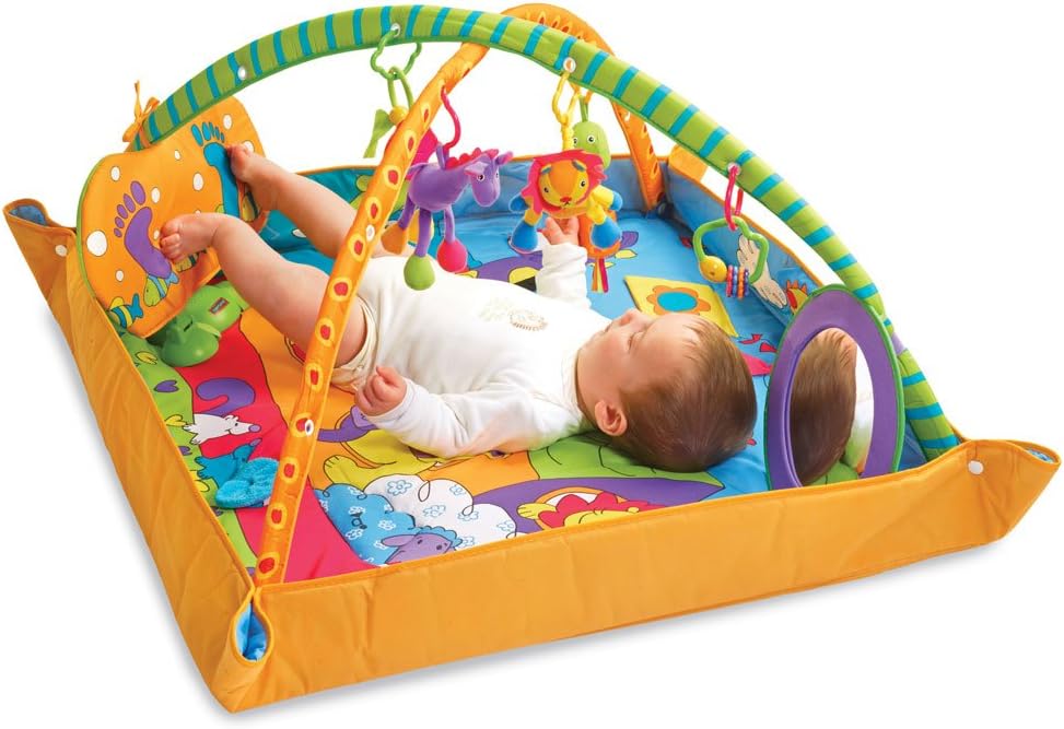 tiny love baby gym
