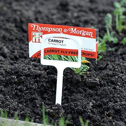 Thompson & Morgan Outdoor & Indoor Garden Plant Labels Reuseable Plastic T Label 1 x Pack of 10