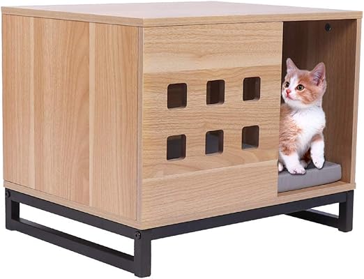 micro puppies near me