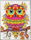 Diamond Painting DIY 5D Special Shape Rhinestones, ABEUTY Colorful Owl on The Tree, Partial Drill Crystal Diamond Art Kits