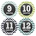 Monthly Baby Stickers Baby Boy Month 1-12 Milestone Age- Onesie Sticker