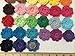 PEPPERLONELY Brand 20PC Rainbow Collection Eight Petals 2 Inch Crocheted Flower Appliques Embellishments