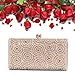 Womens Evening Clutch Bag Wedding Purse Bridal Prom Handbag Party Bag Elegance Rhinestone (Gold)