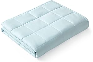 YnM Weighted Blanket,Heavy 100 Percent Oeko-Tex Certified Cotton Material, Bed Blanket for One Person of 240lbs, Ideal for Queen/King Bed (60x80 Inches, 25 Pounds, Light Blue)