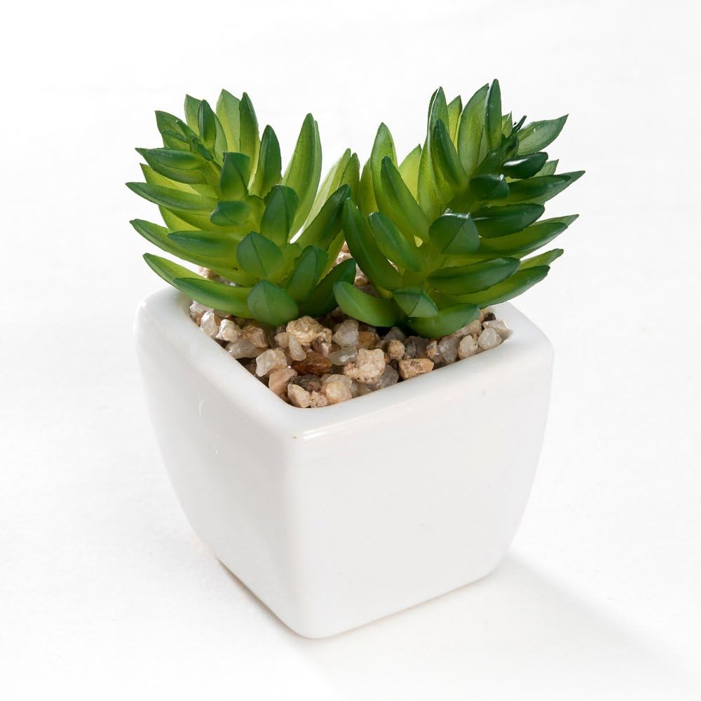 Nattol Small Artificial Succulent Plant Potted in White Ceramic Pots for Home Decor, Set of 4: Home & Kitchen