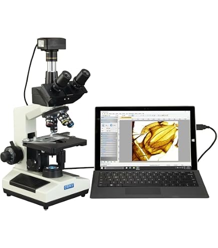 Amazon.com: OMAX M837L Series LED Trinocular Compound Microscope