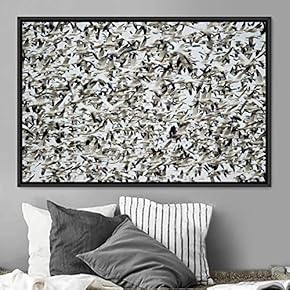signwin Framed Canvas Wall Art Swarm of Birds...