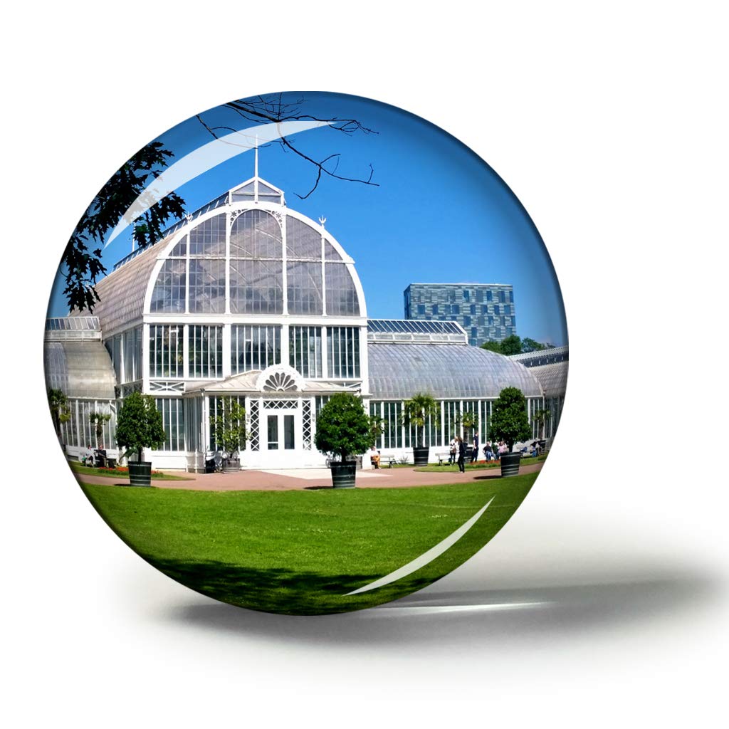 Best Botanical Refrigerator Magnets