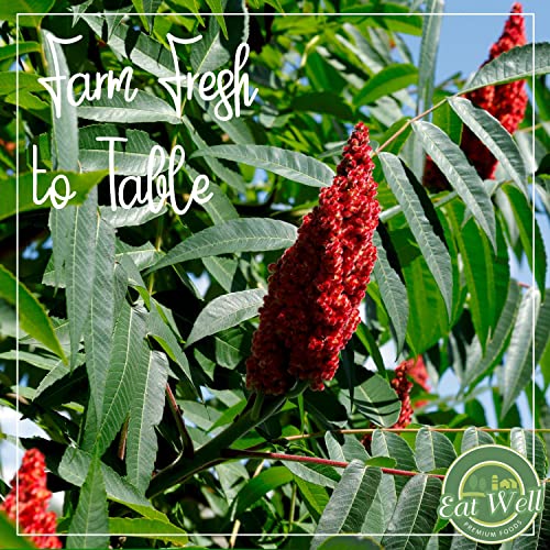 Eat Well Sumac Spice Powder 16 oz Bulk Extra Large Size Ground Sumac