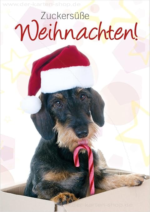 Foto Di Natale Con Cani.3 Pezzi Busta Biglietti Di Natale Biglietto Con Cane Bassotto Biglietto Di Natale Cani Cartolina Di Natale Dolcissima Periodo Natalizio Amazon It Cancelleria E Prodotti Per Ufficio