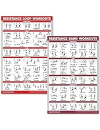 QuickFit 2 Pack - Resistance Bands and Resistance Loops Workout Posters - Set of 2 Laminated Charts - Resistance Band Tubes and Loops Exercise Charts