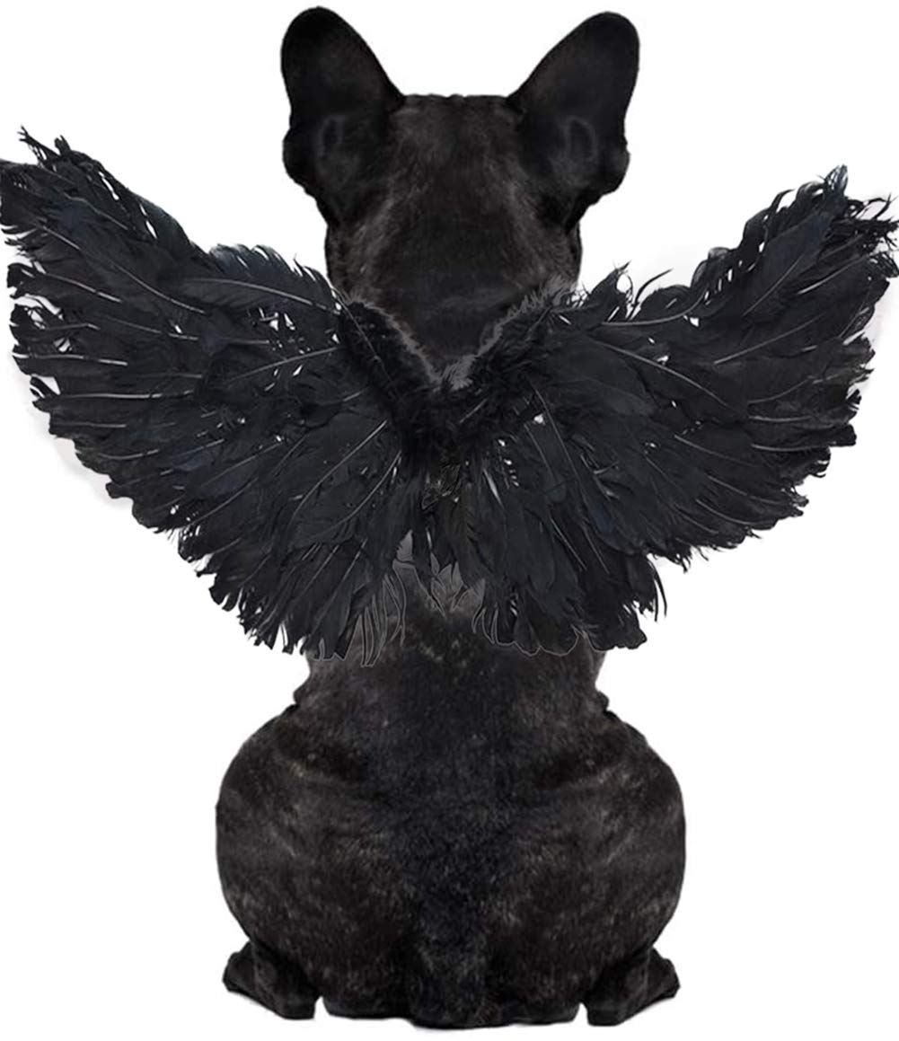 Photo 1 of WeeH Pet Halloween Costume Cosplay Angel Devil Black White Wing for Dog Cat Rabbit Piggy - Funny Gift at Halloween Party Anime Theme Birthday Christmas (Black, Small)