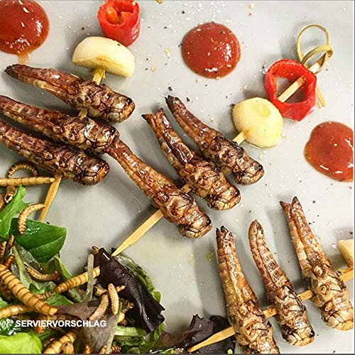 Essbare Insekten Mischung von 'SNACK insects' - 25g Insekten zum Essen - Grillen, Heuschecken & Mehlwürmer – Bild 7