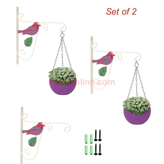 Nuha Bird Design Wrought Iron Wall Planter Hook Bird Feeder