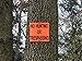 Dubster Durable Easy to Mount Orange No Hunting or Trespassing Sign, 6 3/4 Inch, Pack of 5