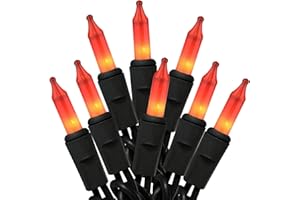 HISHINY Orange Halloween Lights,100 Count Incandescent Lights String with Black Wire,Ideal Outdoor Indoor Halloween Decorations Lights for Patio Home Party,UL Certified (21feet)