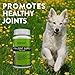 Animagix Dog Hip & Joint Supplements with 800mg Glucosamine, 400mg Chondroitin, 400mg MSM - Helps for Dog Joint Pain Relief