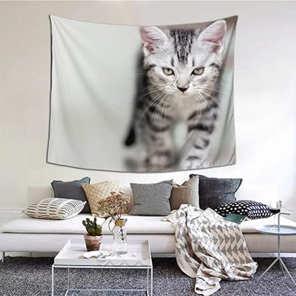 Amazon De Zimmer Wanddekoration Niedliche Amerikanisch Kurzhaar Katze Katzchen Mit Kopie Raum Baby