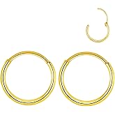 L7L7WM 316L Surgical Steel Endless Hoop Earrings Nose Rings Hinged Segment Rings Cartilage Earrings Hoop Septum Rings Daith Helix Rook Conch Tragus Piercing Jewelry Lip Rings