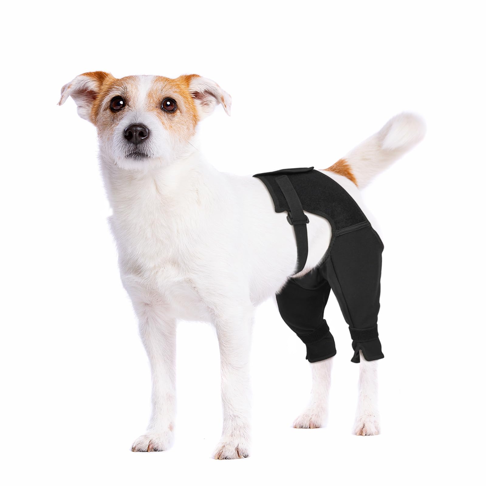 Photo 1 of Pawfun Dog Rear Leg Sleeve to Stop Licking, Breathable Anti-Slip Recovery Sleeve for Wound Protection After ACL/TPLO Surgery, Hot Spots, Lick Granulomas–Dog Cone Alternative for Leg Healing,S