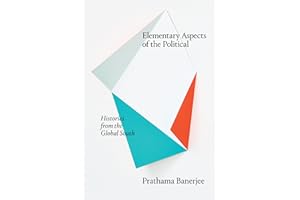 Elementary Aspects of the Political: Histories from the Global South (Theory in Forms)