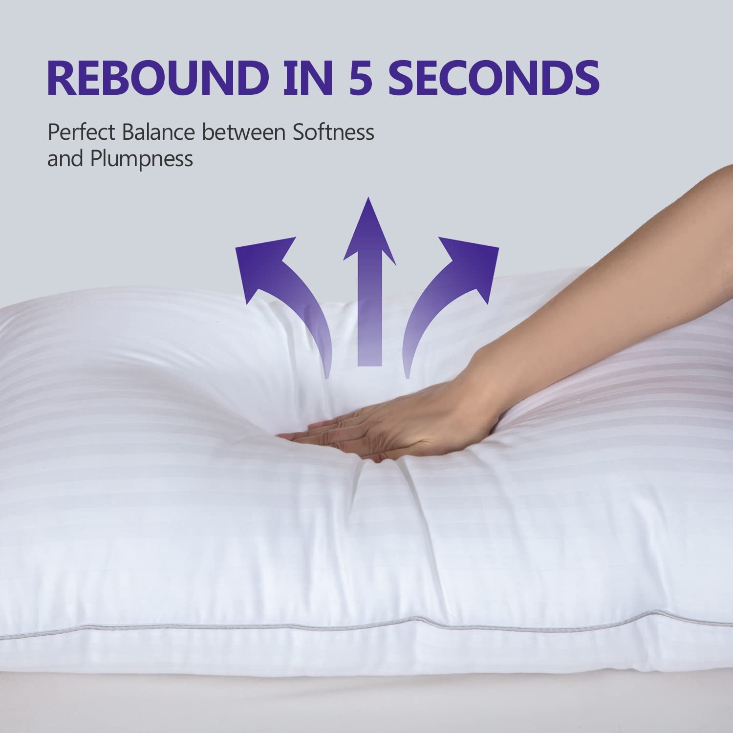 HOMELAB 2 Pack Standard Pillows for Sleeping - 100% Breathable Cotton Case, Soft Plush Down Alternative Filler, Medium to Soft Neck Support for Side Back and Stomach Sleepers, 20x26