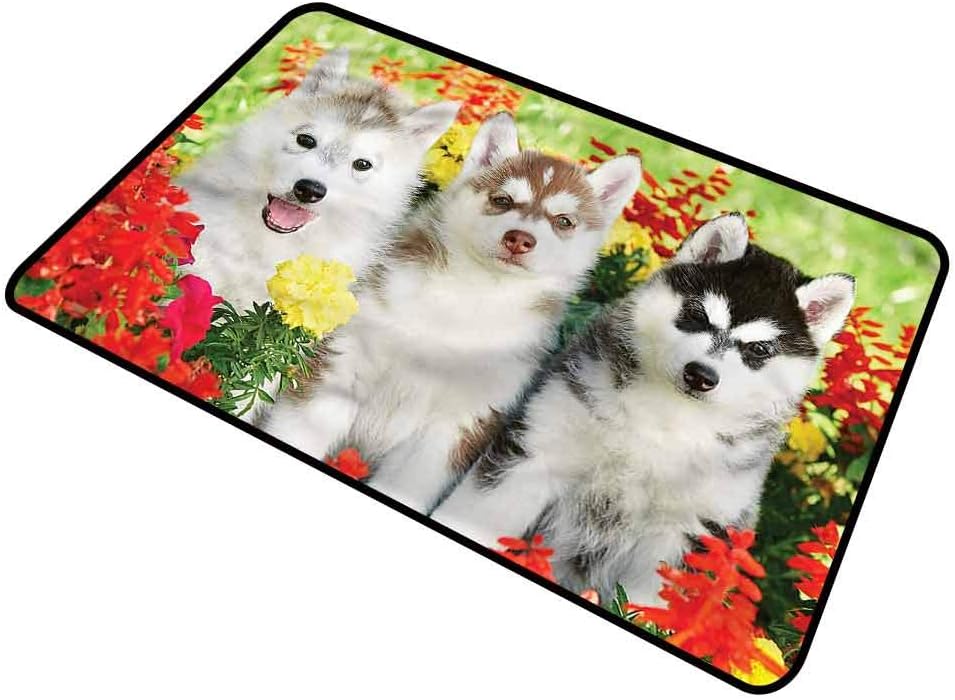 Amazon.com : DESPKON-HOME Dog Lover, Pet Mat Three Siberian Huskies