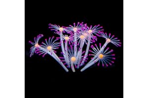 FUNOJOY Glowing Fish Tank Decorations Aquarium Coral Plants, Simulation Silicone Coral, Fluorescence Sea Anemone, Glow Coral Ornaments for Aquarium Fish Tank Decor Aquarium Accessories
