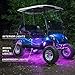 LEDGlow 12pc Million Color LED Golf Cart Underglow Accent Neon Lighting Kit with Wheel Well & Interior Lights for EZGO Yamaha Club Car – Fits Electric & Gas Golf Carts – Water Resistantthumb 2