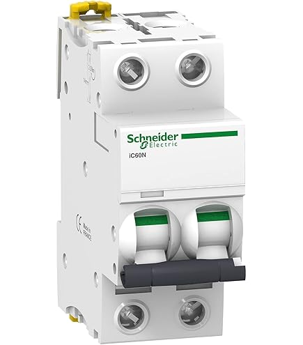 Schneider Electric A9F74206 IC60N Circuit Breaker, Acti9, 2P, 6A