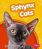 Cover for 9781429617178