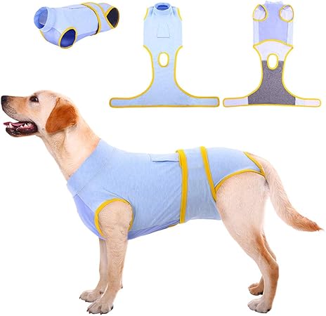 abdominal bandage dog