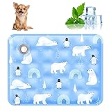 AIIONP Pet Cooling Mat, 2025 New Dog Cooling Mat