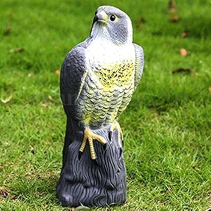 Hhh Hunting Gross Realistische Falke Lockvogel Vogel Abschreckungsmittel Lebensechte Vollmundig Raubvogel Ungezieferkontrolle Garten Statue Katze Und
