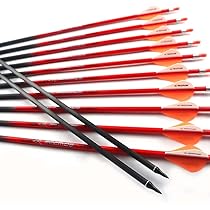 12 Flèches Carbone 30 Pouces Spine 340 Pour Arc Compound Et Recurve – Camo