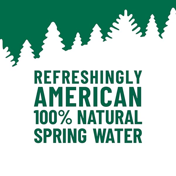 POLAND SPRING SPRING WATER, 30.4 FZ
