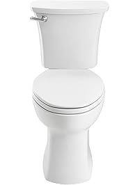 American Standard 204AB104.020 Edgemere Right Height Elongated 10-Inch Rough-In Toilet, White