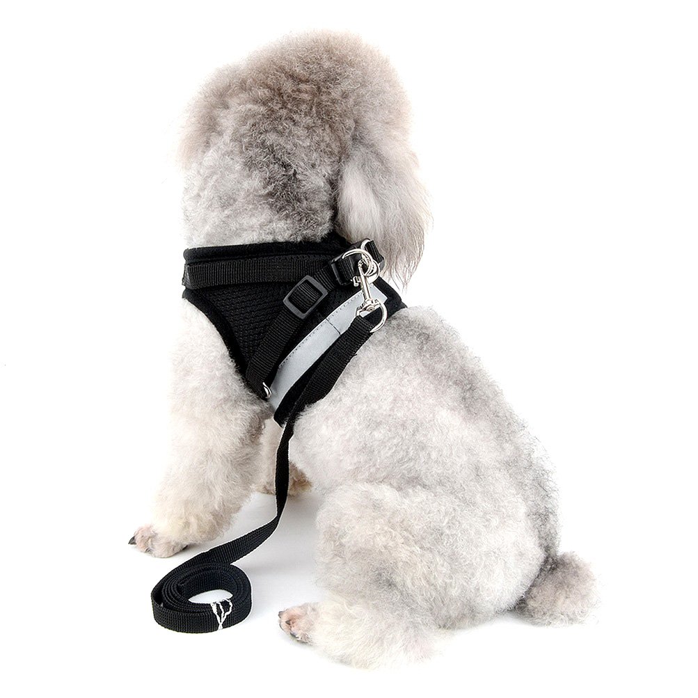 Zunea No Pull Dog Harness for Small Dog Cat Reflective Breathable Soft Mesh Padded Step-in Vest Harnesses Leash Set, Puppy Kitten Lead Escape Proof for Daily Walking Black XS