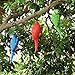 S&F Life Size Hanging Parrot Statue Like a Real Parrot Patio Lawn Ideal Decor for Nature Lovers Tropical Bird Collectors Summer Theme (Green)