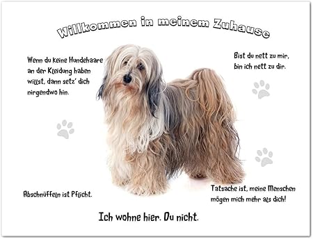 Merchandise For Fans Blechschild Warnschild Turschild Aluminium 30x40cm Willkommen In Meinem Zuhause Motiv Tibet Terrier Weiss Braun 02 Amazon De Kuche Haushalt