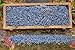 Lavande Sur Terre 1 Lbs French Dried Lavender Buds - Lavandula Dentata, 16 oz Value Pack - Highland Lavender Flower Buds for Culinary, DIY Projects, and Aromatherapy, LV-U-3