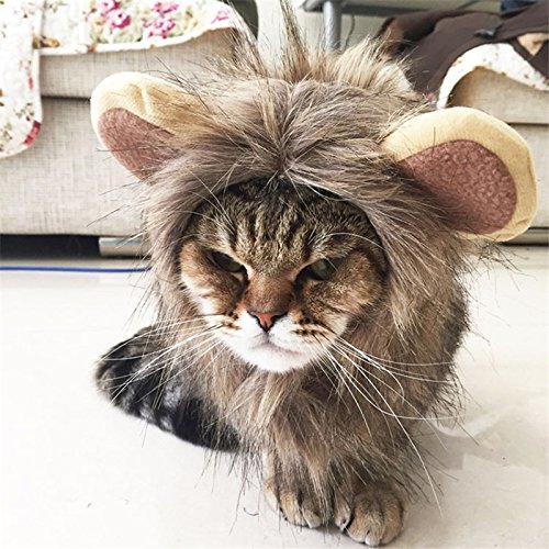 Pet Cat Dog Emulation Lion Hair Mane Ears Head Cap Autumn Winter Lion Mane Pet Cat Hat Lion Mane Wig Cute Pet Costume Cosplay