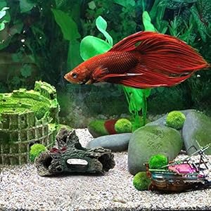 YOUTHINK Legni Arredo per Acquario,Acquario Legno Acquario Ornamento Artificiale Tronco in Resina Grotta per Acquario…