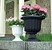 Classic Urn, White, 19-Inch