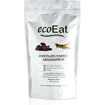 Amazon.com: Edible Bugs Dark Chocolate Covered Grasshoppers by ...