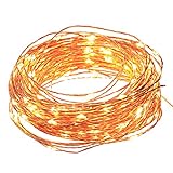 NEWSTYLE 100 LED Lights Copper String 33 Feet Bundle with 12v Adapter and a Remote Control (Warm White)